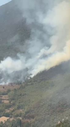 Küre Dağları Milli Parkı'nda orman yangını