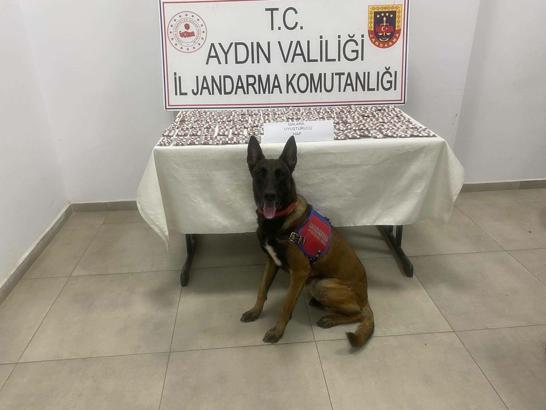Aydın'da 1383 sentetik hap ele geçirildi: 3 gözaltı