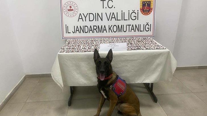 Aydın'da 1383 sentetik hap ele geçirildi: 3 gözaltı