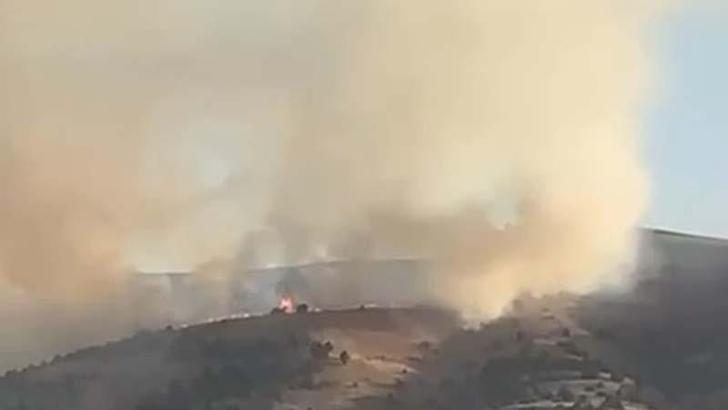 Sivas'taki anız yangını ağaçlara sıçradı