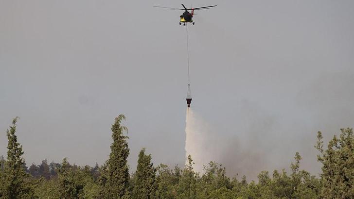Pamukkale’de çıkan orman yangını söndürüldü; 3 gözaltı