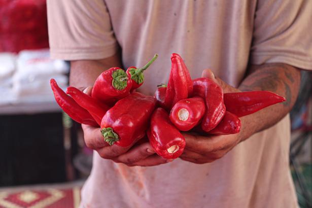 Tescilli biberin salça yolculuğu başladı