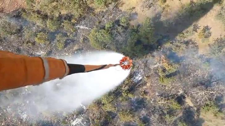 Şırnak'ta orman yangını