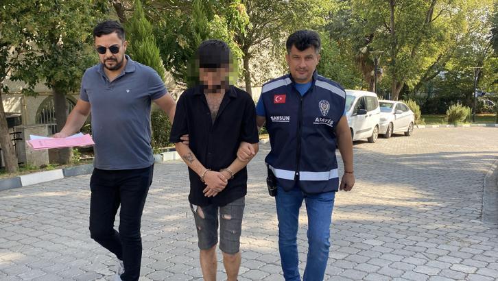 Park halindeki kamyonetin 10 bin lira değerindeki havalı kornasını çaldı