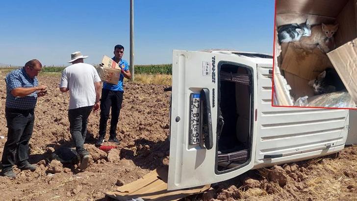 Takla atan hafif ticari aracın sürücüsü ile 4 yavru kediyi ekipler kurtardı