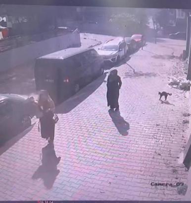 İstanbul - Sultangazi'de yürüyüş yapan kadın ve köpeğine, kedinin saldırdığı anlar kamerada