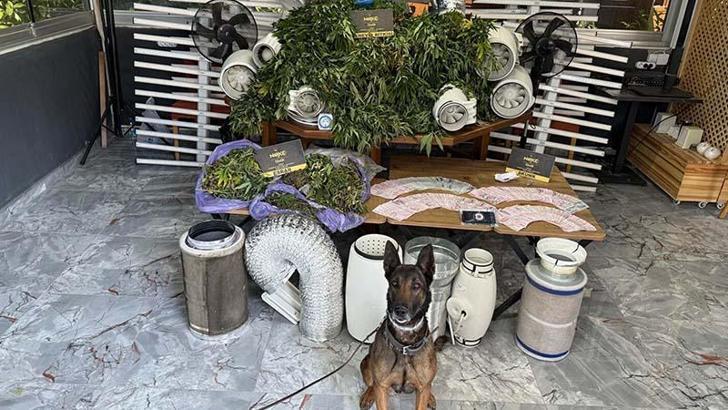 İzmir’deki uyuşturucu operasyonlarında 11 tutuklama