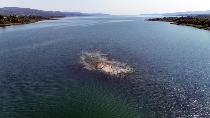 'Sapanca Gölü’nden fabrikaların yıllık su kullanımı, şehrin 20 günlük ihtiyacına karşılık geliyor'