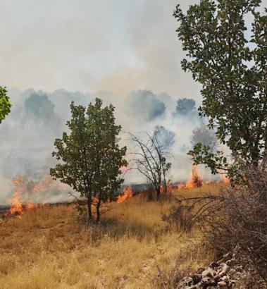Mardin'de örtü yangını, 3 saatte söndürüldü