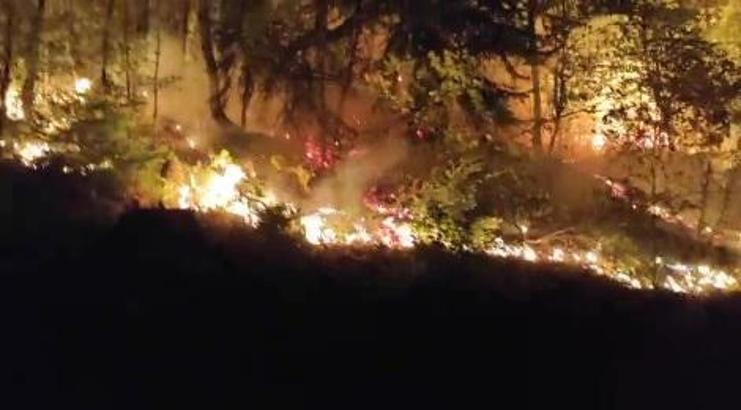 Düzce Yığılca'da orman yangını; 2 saatte kontrol altında