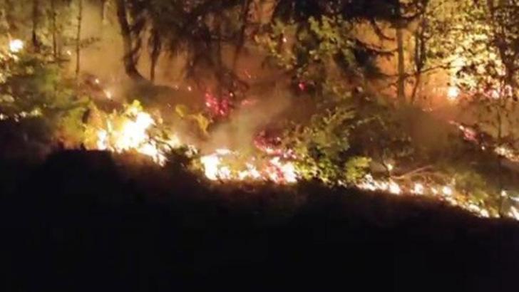 Düzce Yığılca'da orman yangını; 2 saatte kontrol altında