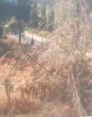 İstanbul - Şişli'de ağaçlık alanda çıkan yangın söndürüldü; şüpheli kamerada