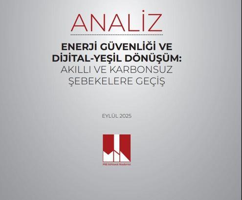 Milli İstihbarat Akademisi'nden enerji güvenliği analizi