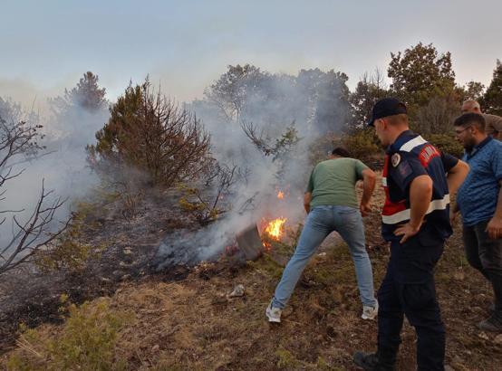 Tokat’ta orman yangını kontrol altına alındı