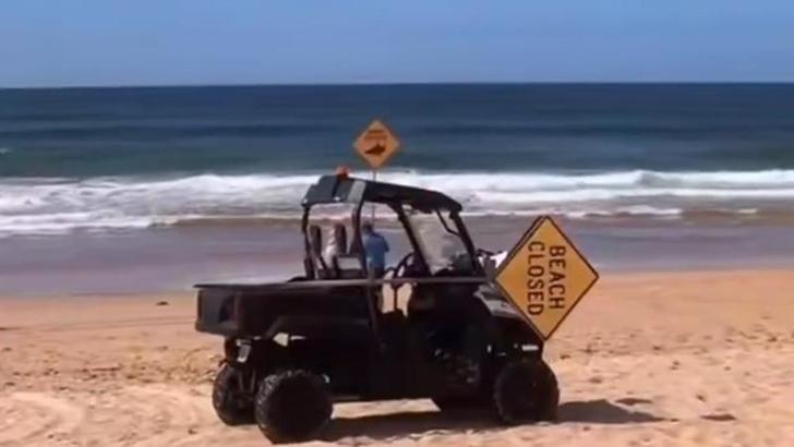 Avustralya'da ölümcül köpek balığı saldırısı