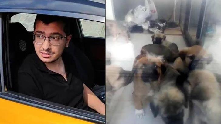 Sahiplendiği köpekleri öldürmekten yargılanan doktorun tahliye talebi reddedildi