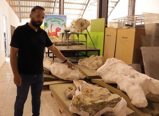 Kayseri’de bu yılki fosil kazılarında 7,7 milyon yıllık 3 fil kafatası bulundu