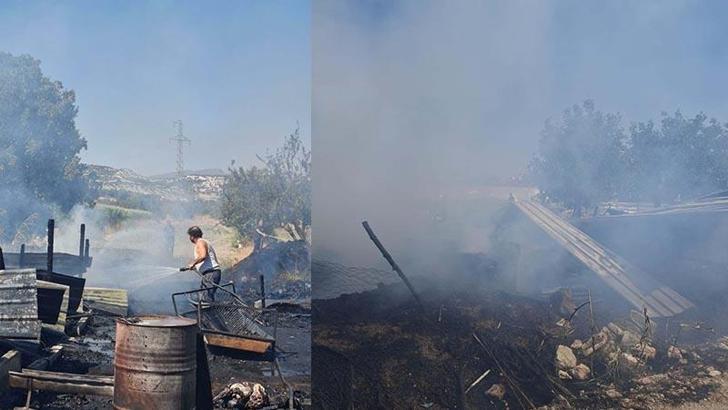 Manisa'da ahırda çıkan yangında 21 koyun öldü