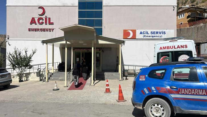 Ceviz toplamak için çıktığı ağaçtan düşüp öldü