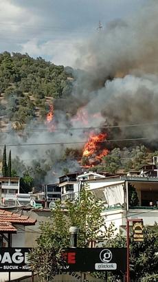 Balıkesir'deki yangın 5 saatte söndürüldü