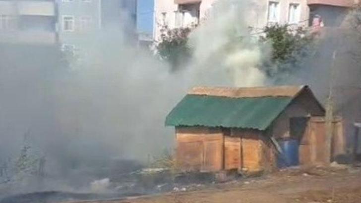 Silivri'de kümese sıçrayan yangında çok sayıda güvercin öldü