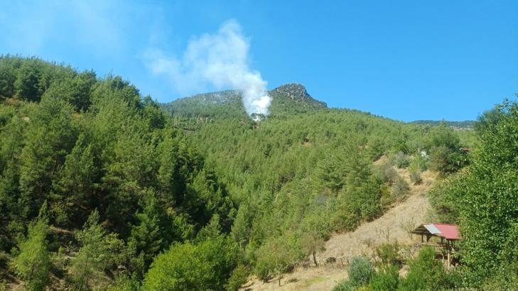 Feke'de orman yangını kontrol altında