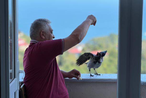 ‘Şakir’ ismini verdiği kargaya çocuğu gibi bakıyor