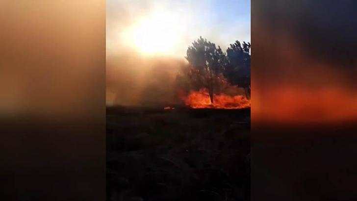 Bursa’daki orman yangını kontrol altında