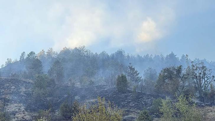 Karabük’teki orman yangını kontrol altında