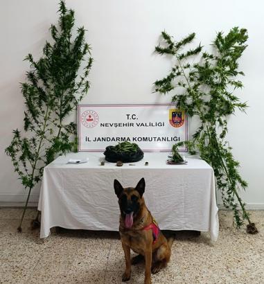 Nevşehir'de uyuşturucu operasyonu: 2 gözaltı