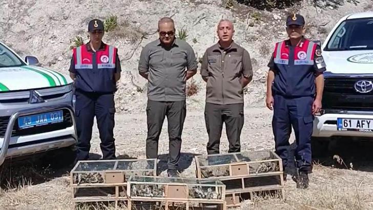 Kütahya'de ele geçirilen 142 saka kuşu doğaya salındı