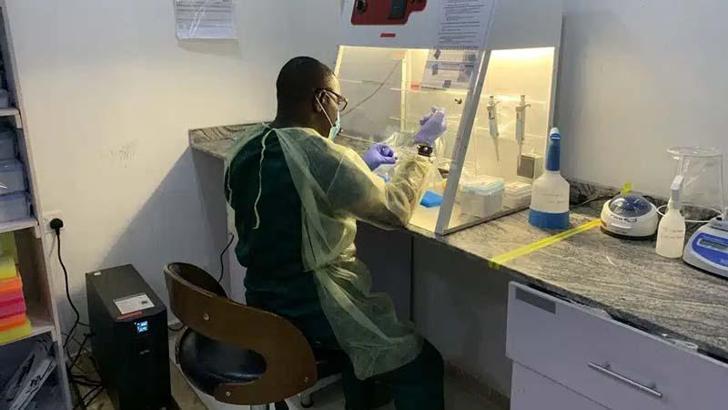 Nijerya’da ‘Lassa ateşi’ salgını: 162 ölü