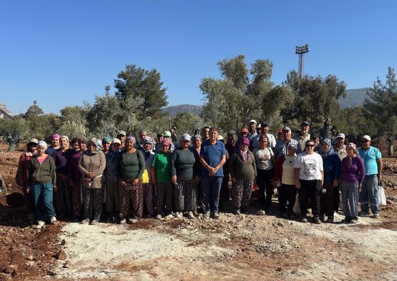 Muğla'da bölge halkı taşınan zeytinleri yerinde gördü