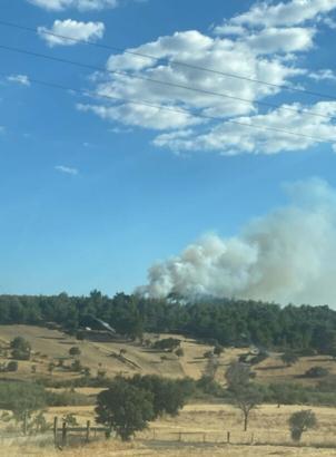 Çanakkale'de orman yangını