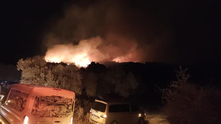Muğla'da orman yangını (2)