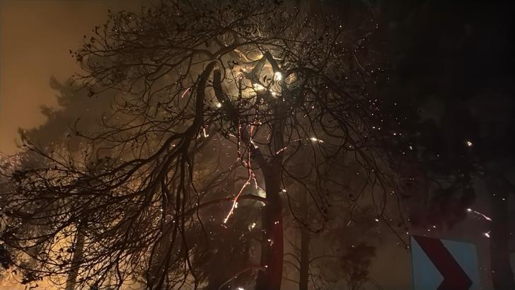 Muğla'da orman yangını (2) / Ek fotoğraf