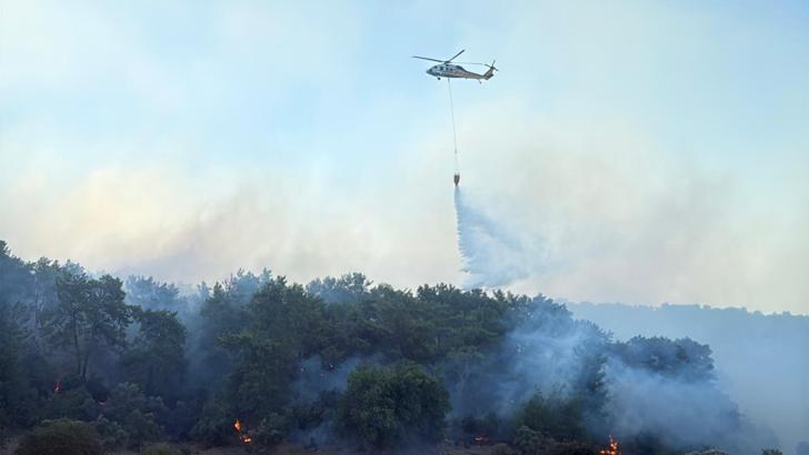 Muğla'da orman yangını (4)