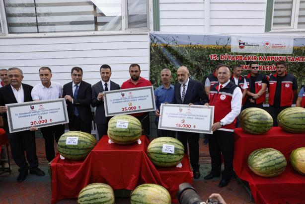Kuraklığın vurduğu Diyarbakır karpuzunda birincilik 39 kiloda kaldı