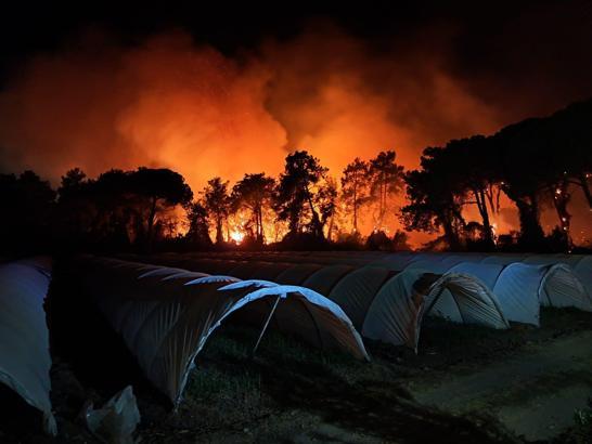Antalya’da orman yangını; 2 otel tahliye edildi