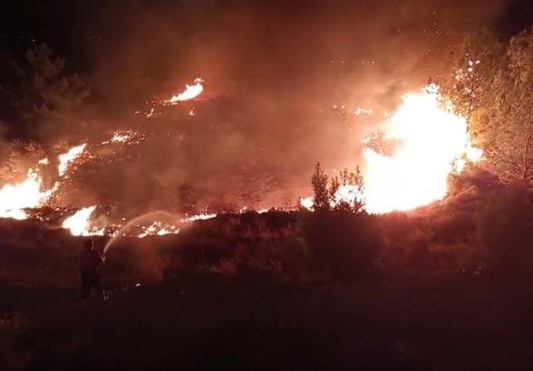 Düğünde atılan havai fişekler yangın çıkardı; alevler ormana sıçramadan söndürüldü