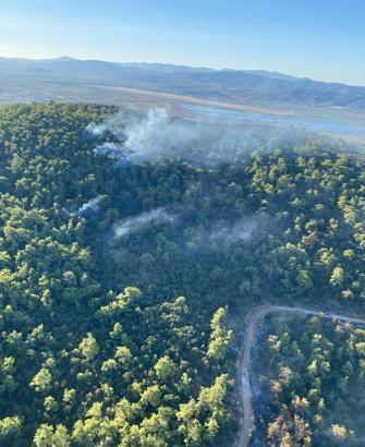Muğla Milas'taki orman yangınında 2'nci gün