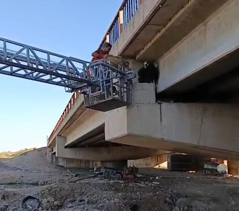 Şırnak’ta köprü altında mahsur kalan 3 oğlak kurtarıldı