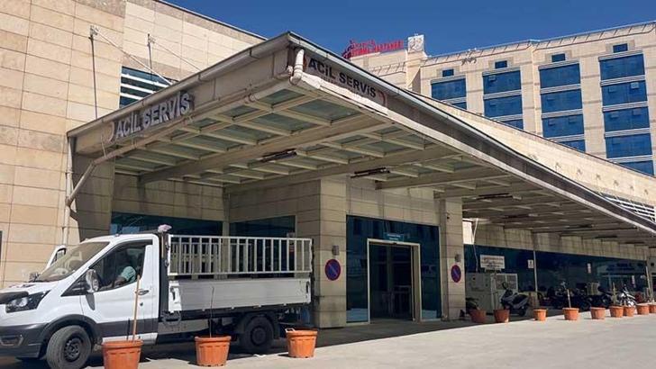 Ceviz toplarken ağaçtan düşüp öldü