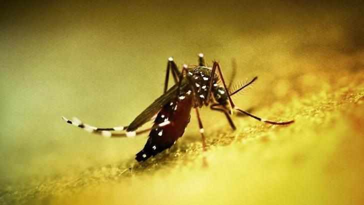 Çin'de halk sağlığı acil durumu ilan edildi