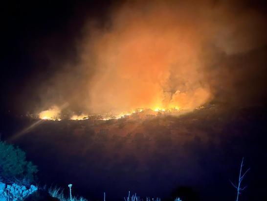 Diyarbakır'daki örtü yangını 2'nci gününde kontrol altında (2)