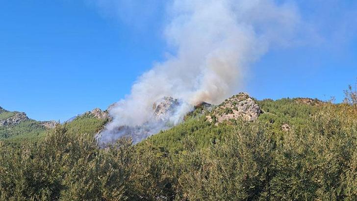 Serik'teki orman yangınına ilişkin 1 gözaltı