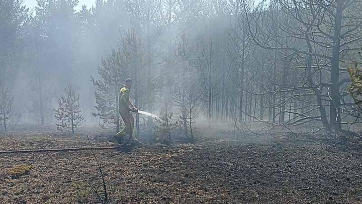 Kastamonu'da orman yangınında 10 dönüm alan zarar gördü