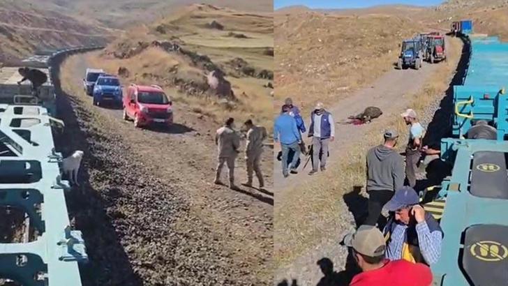 Yük treni büyükbaş sürüsüne çarptı; 5 inek öldü