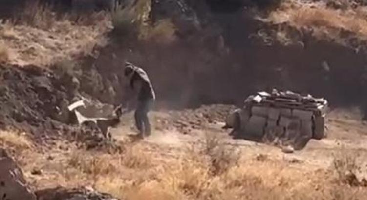 Sivas'ta yavru köpeğe sopalı şiddete gözaltı