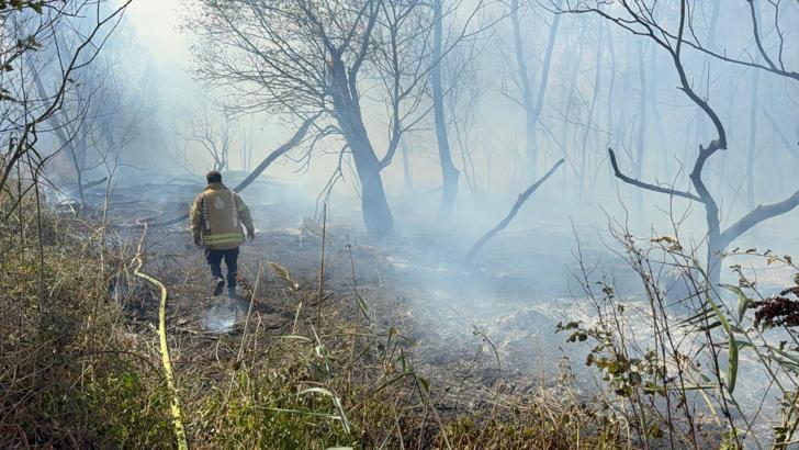 Büyükçekmece'de otluk alanda çıkan yangın söndürüldü